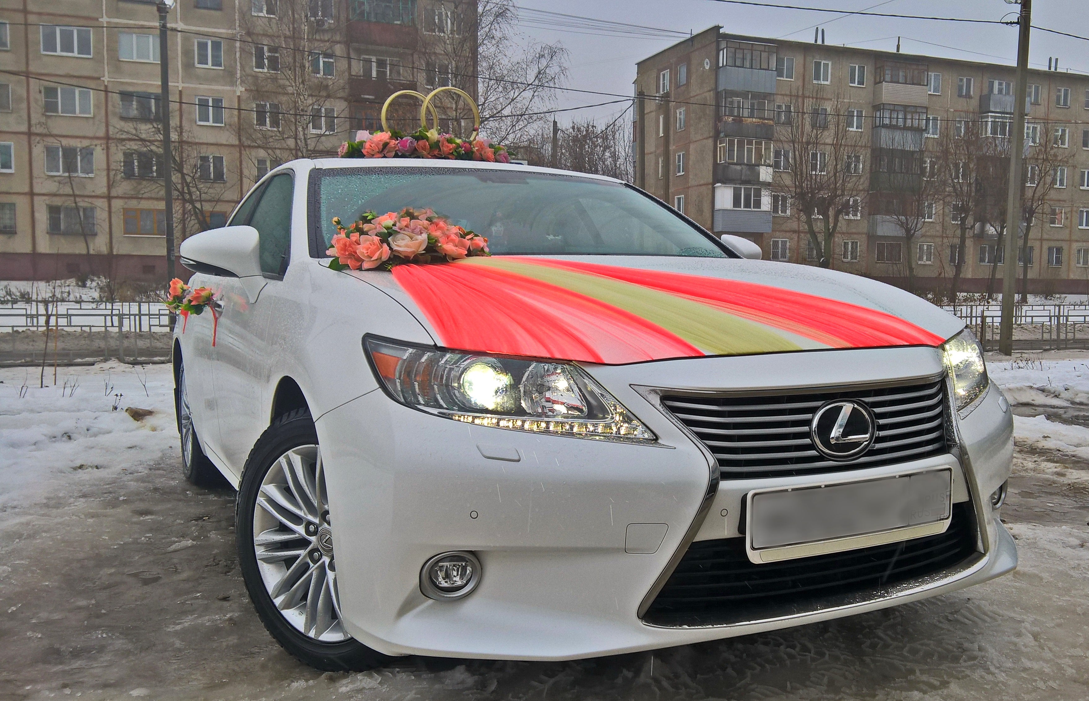 показать транспорт